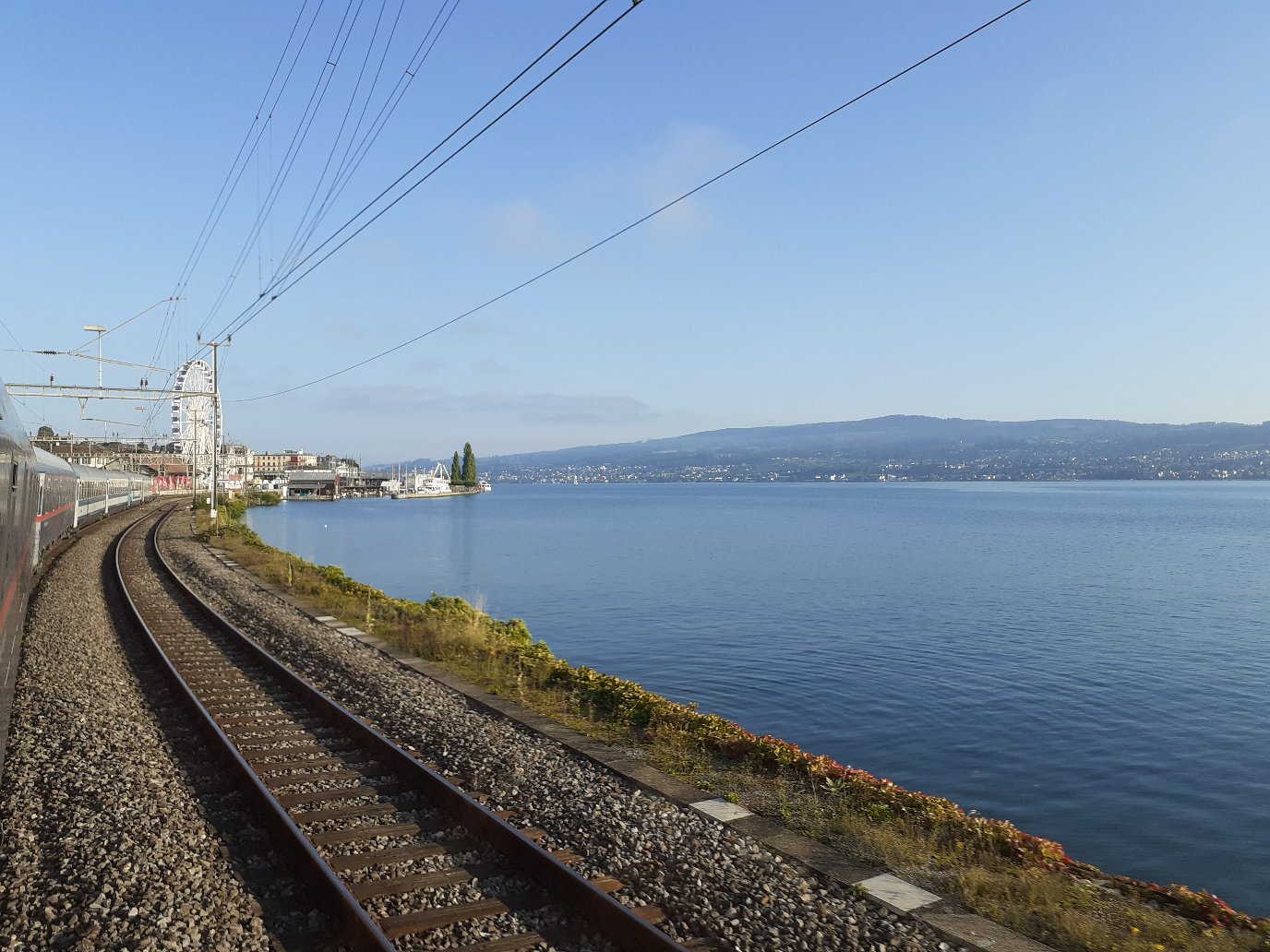 Whatsapp Image 2021 02 11 at 15 59 59.jpeg