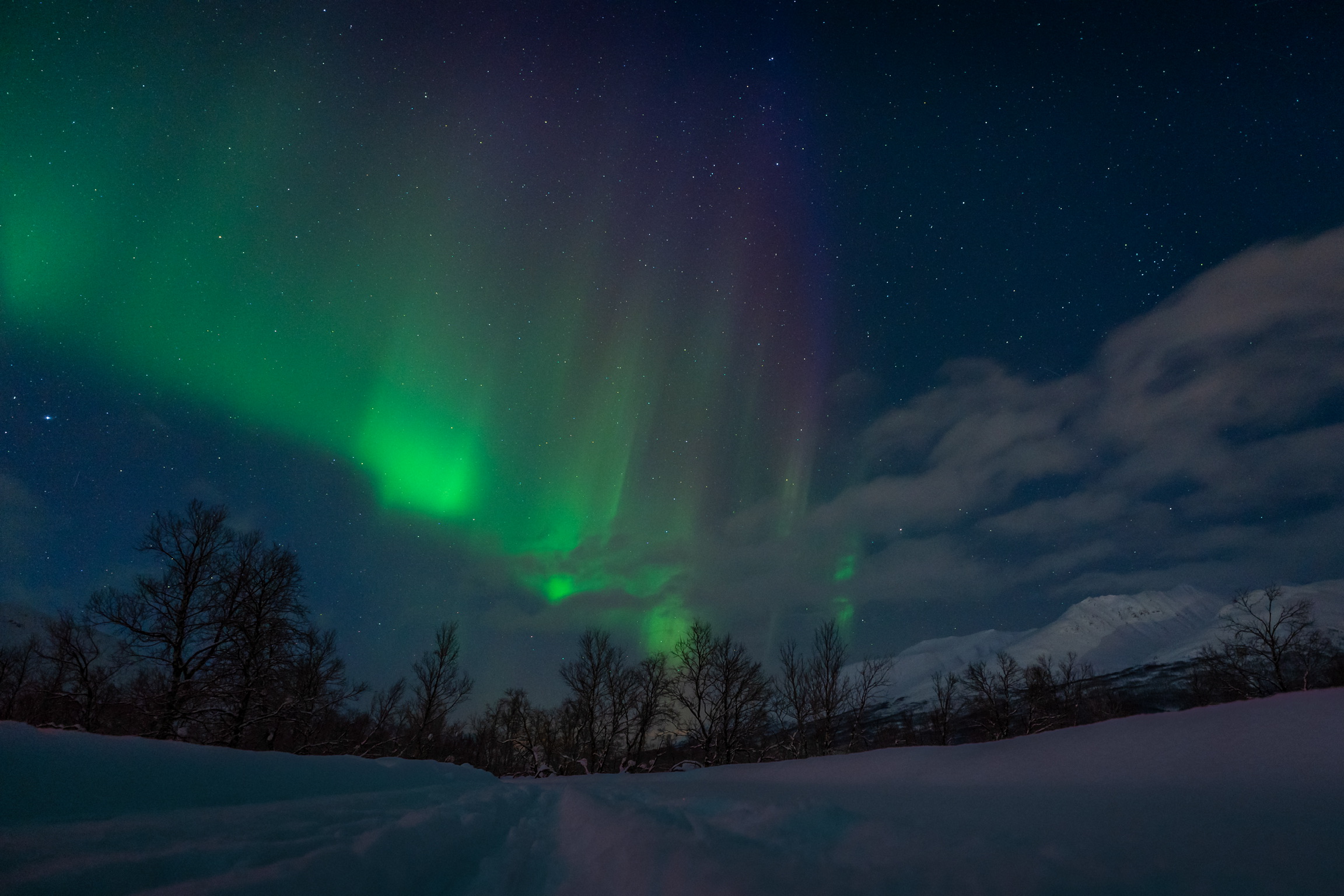 Dsc07460 Rawedit.jpg