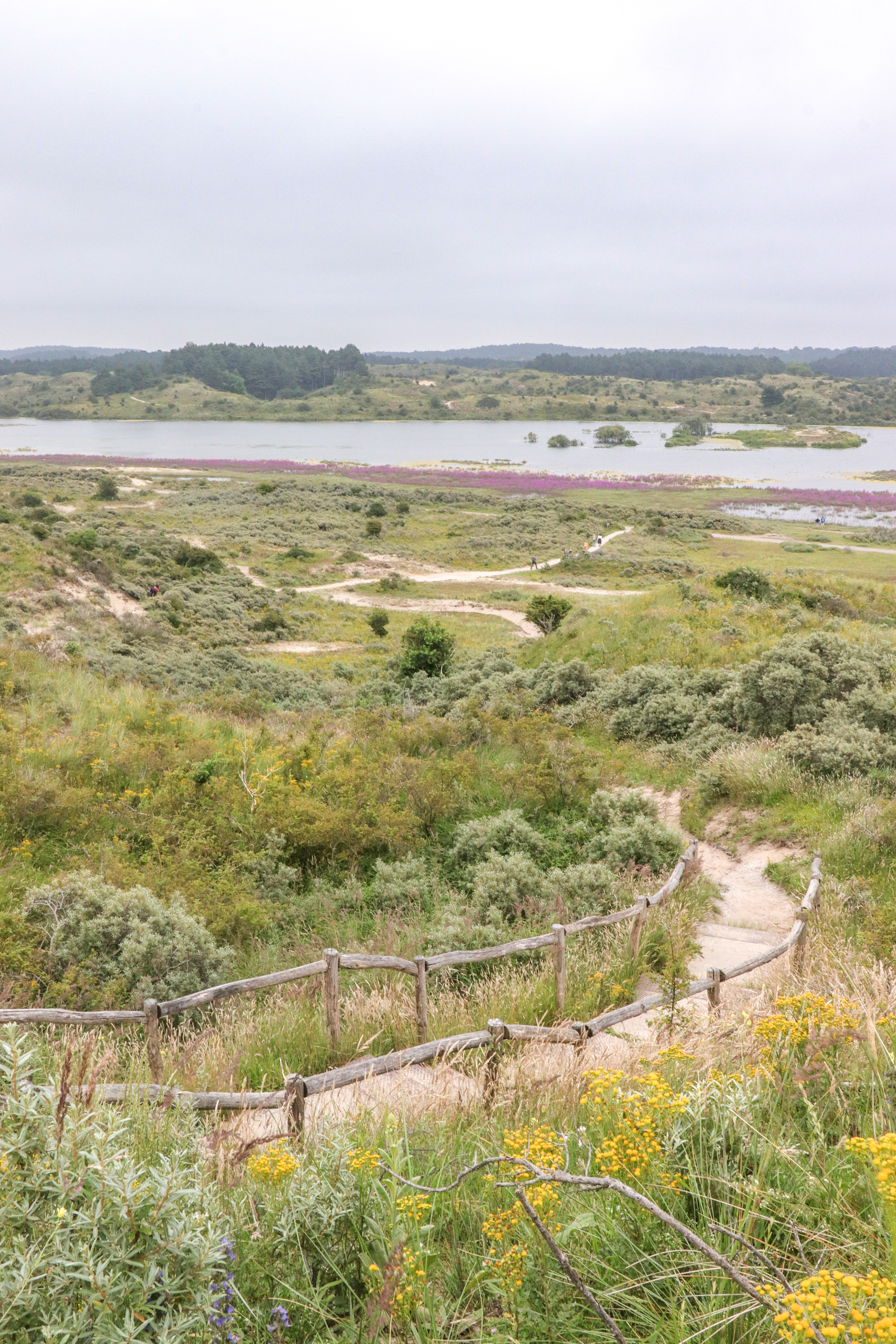 Blick Auf Das Vogelmer