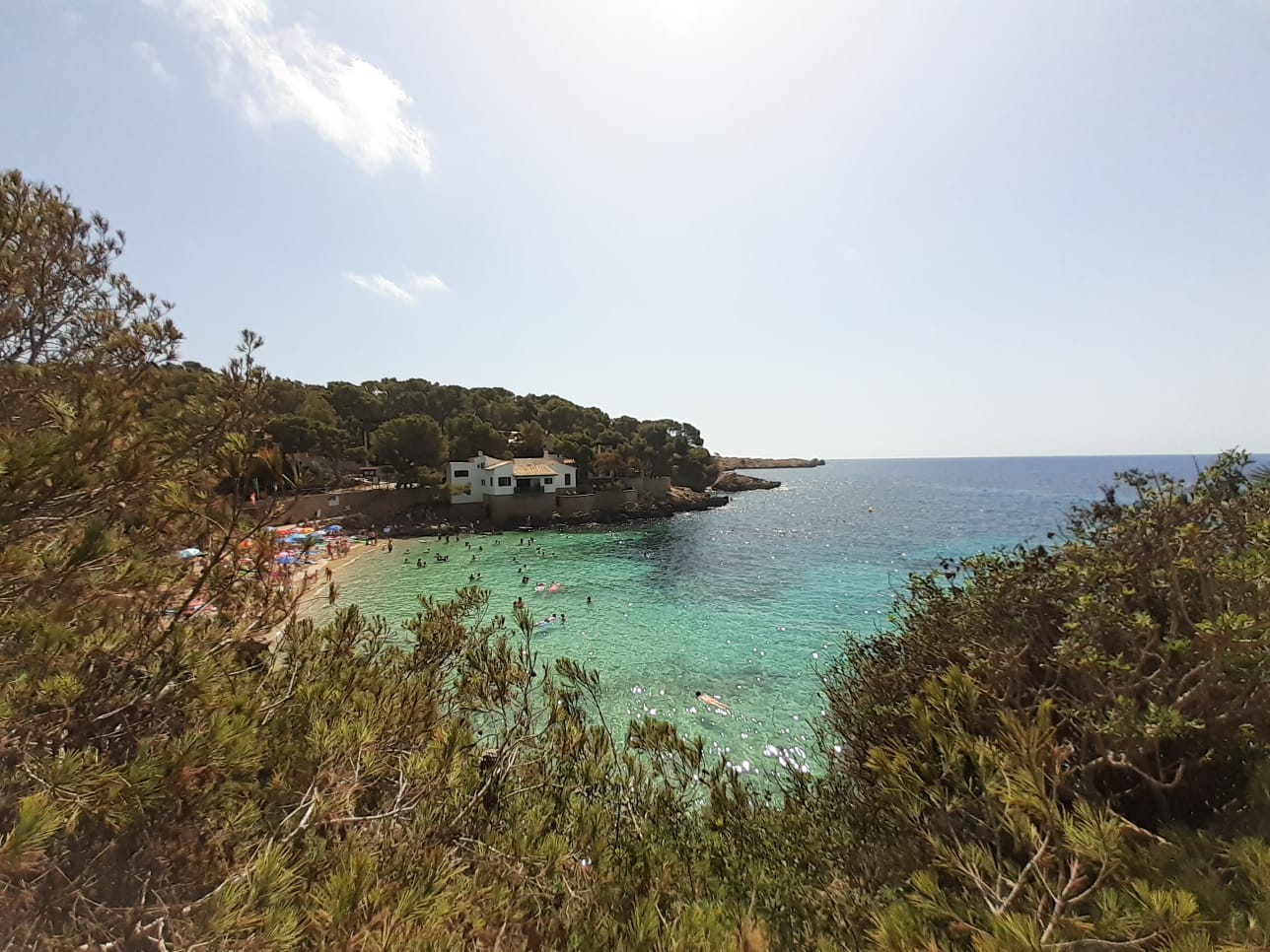 Whatsapp Bild 2024 09 17 Um 11 00 05 F184ce40.jpg