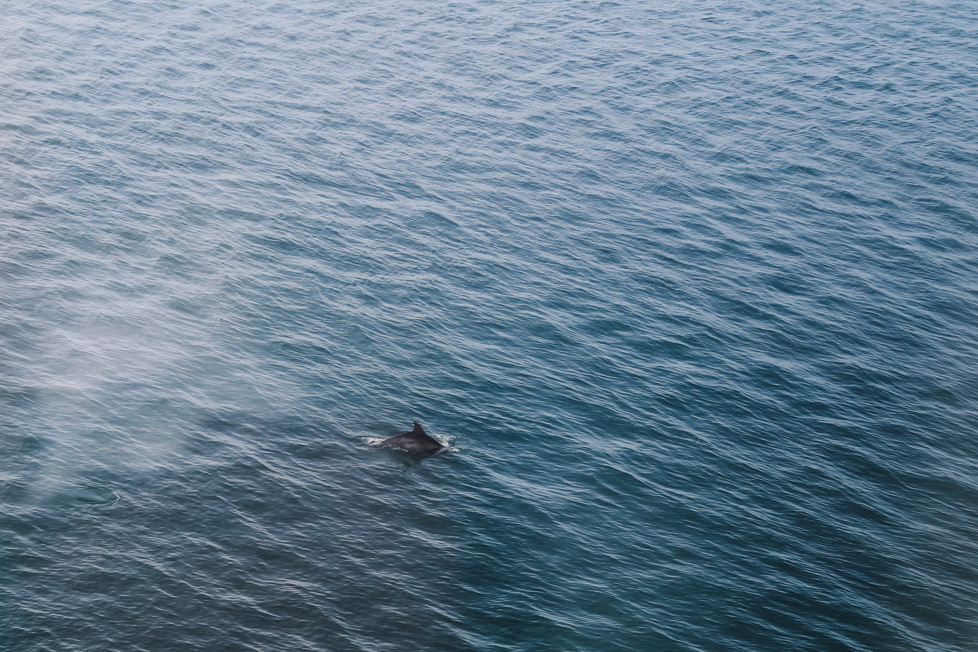 Dublin Blog Raffaela 7.jpg