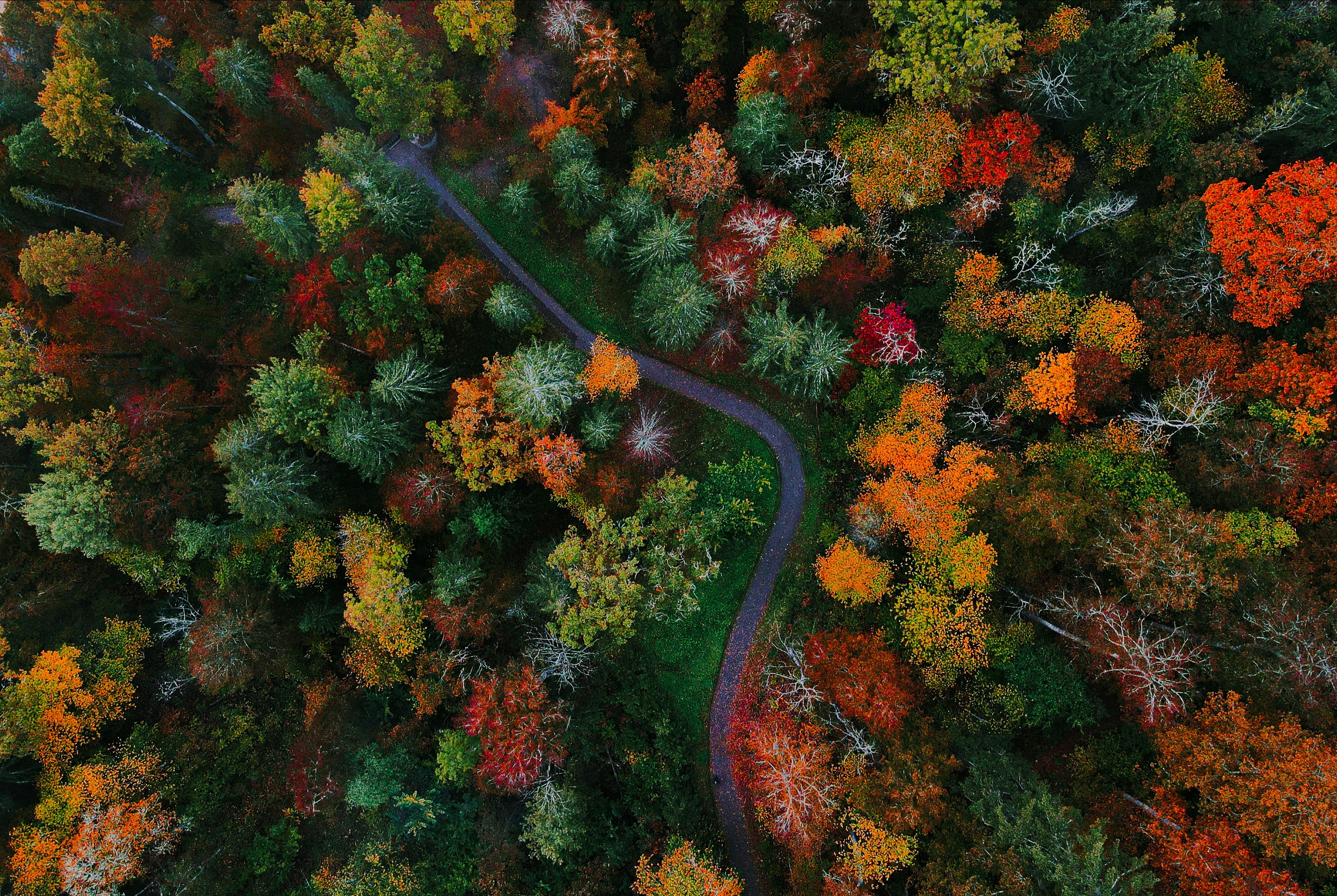 Kristine Kozaka X0 or Kl U Mnbs Unsplash