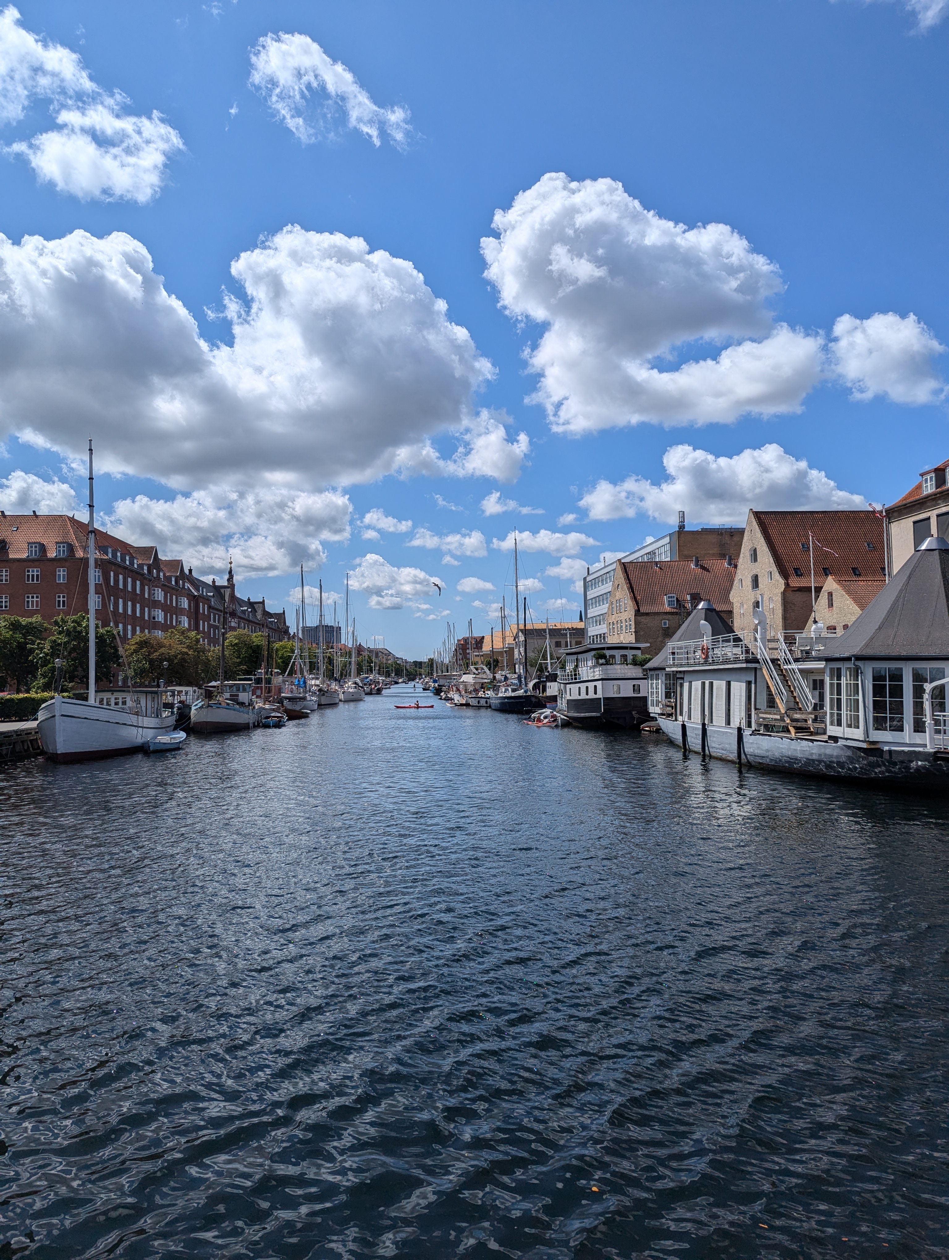 Pxl 20240728 104913593.jpg