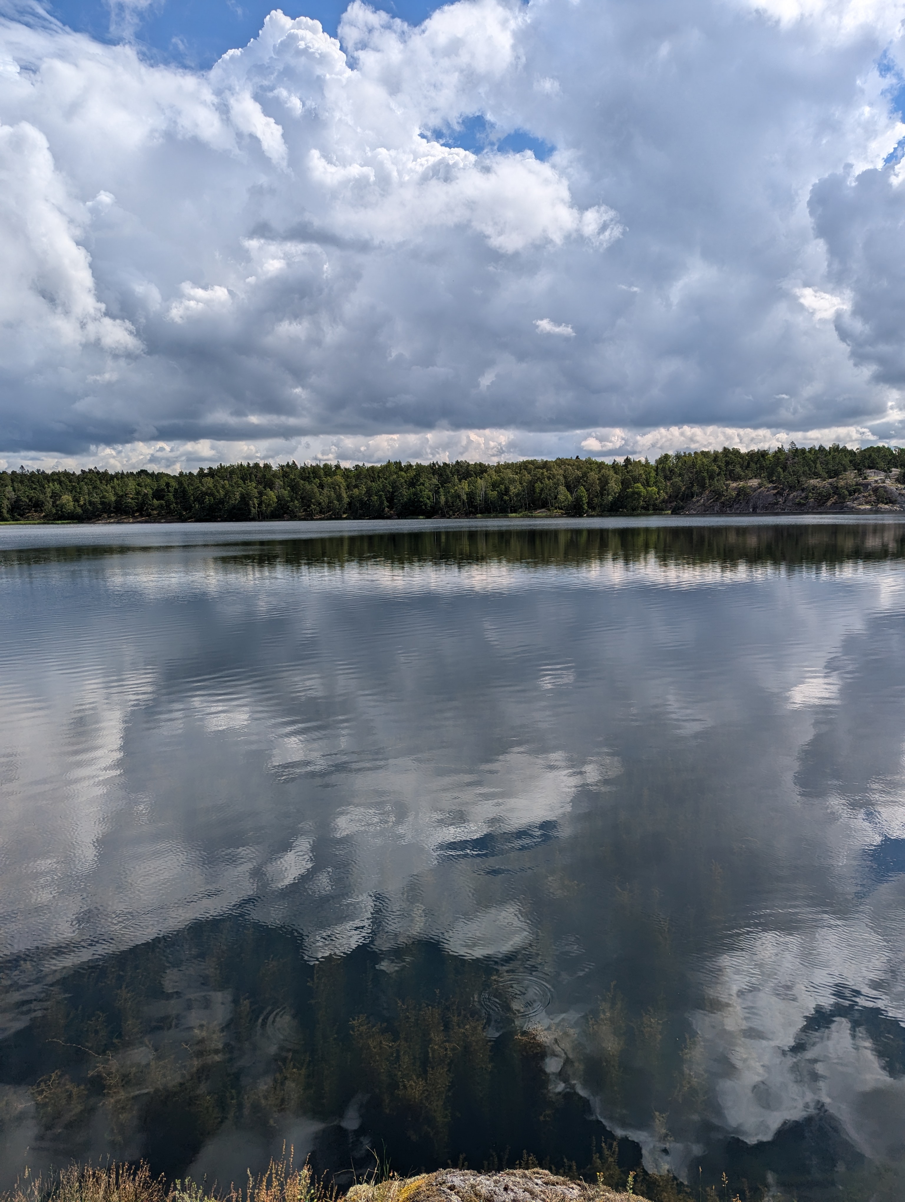 See Im Naturschutzgebiet.jpg